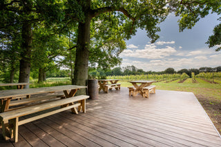 Wildshark Vineyard, Kent